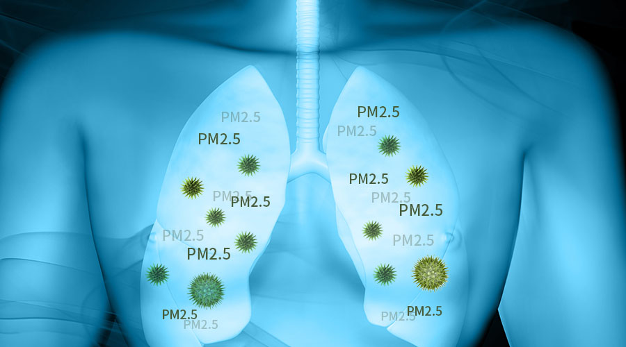 室內空氣質素及PM2.5測試目的是要鑒定一系列室內常見IAQ參數的水平。