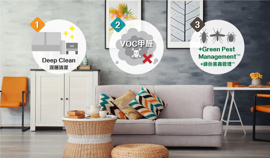 Johnson Group Entire Home & Office Deep Cleaning & Sanitizing